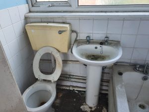 Any House Any Condition - Yes, We'll Have A Go